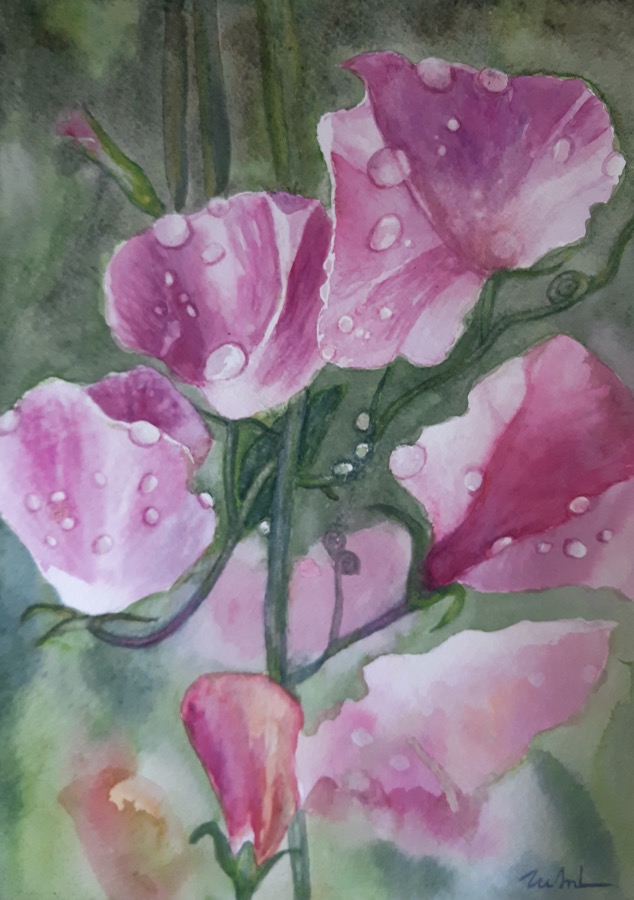 LA ROS&Eacute;E<br>
Aquarelle, 28x20 cm
2024 - Collection particuli&egrave;re